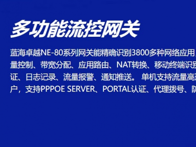 代拨网关在网络架构中的核心价值：企业级应用场景全面解读