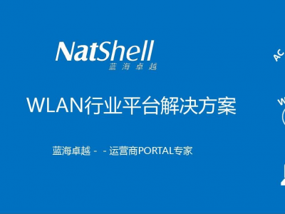 企业PORTAL认证如何有效提升企业安全性与工作效率？蓝海卓越为您提供最佳解决方案